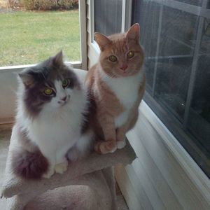 Meet your Posher, Elaine